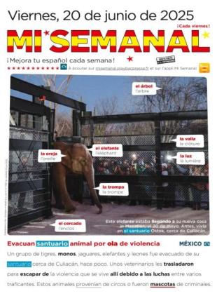 Mi Semanal - 20 Junio 2025