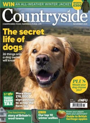 Countryside - November 2025