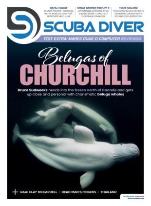 Scuba Diver - 25 November 2025