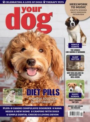 Your Dog - February 2026