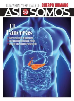 Asi Somos El cuerpo humano - Enero 2026