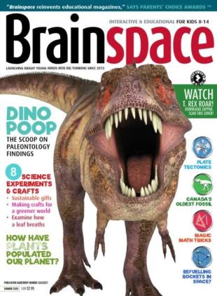 Brainspace - Summer 2020