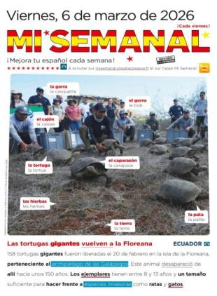 Mi Semanal - 6 Marzo 2026