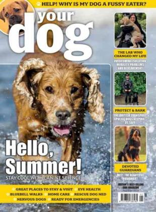 Your Dog - May 2026