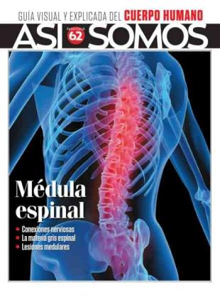 Asi Somos El cuerpo humano - Mayo 2026