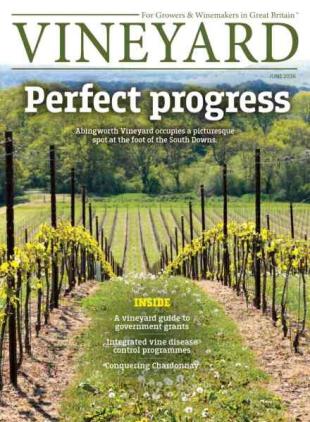 Vineyard - June 2026