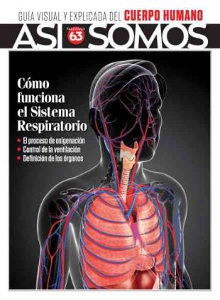 Asi Somos El cuerpo humano - Junio 2026